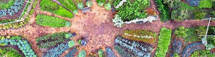 atanaka-paysage-permaculture